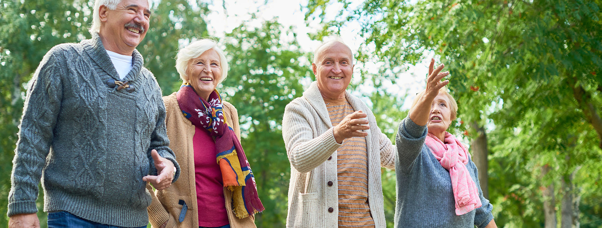 Groep ouderen die samen wandelen in een bos